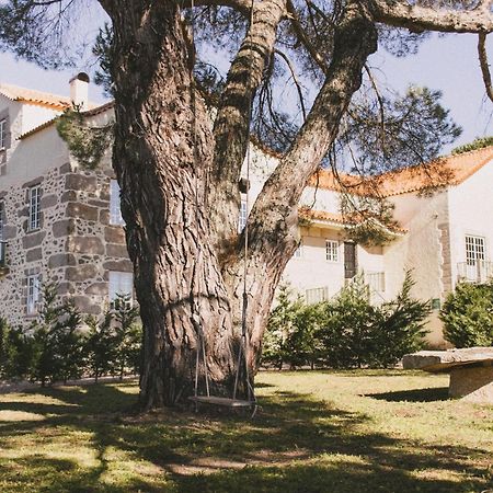 Casas De Campo Villa D'Almeida Travancinha Exteriör bild